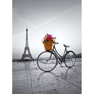 Romantic promenade in Paris - 500 stukjes