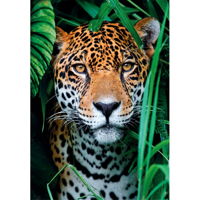 Jaguar In The Jungle - 500 stukjes