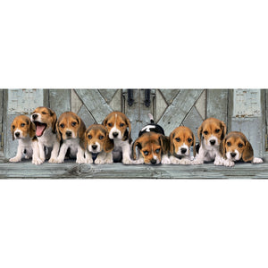 Beagles - 1000 stukjes