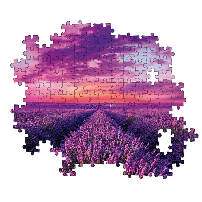 Lavender Field - 1000 stukjes