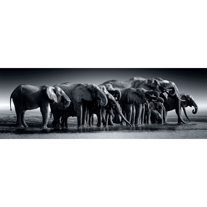 Herd Of Giants - 1000 stukjes