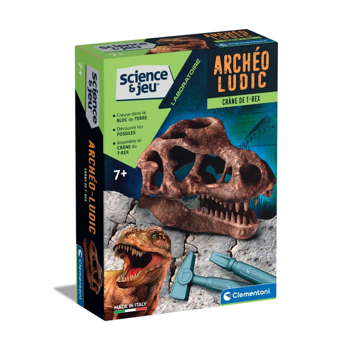 Archéo Ludic - Crâne de T-Rex