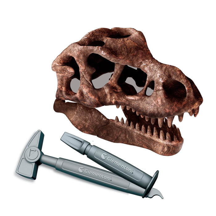 Archéo Ludic - Crâne de T-Rex